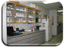 Description: C:\Users\aheihn.DOMMUSD\AppData\Local\Microsoft\Windows\Temporary Internet Files\Content.IE5\L4TVHUCX\Davies_with_new_paint_021[1].jpg